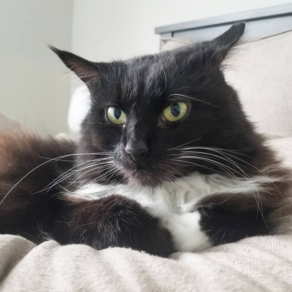 Hello Poshmark - Picture 3 of 3